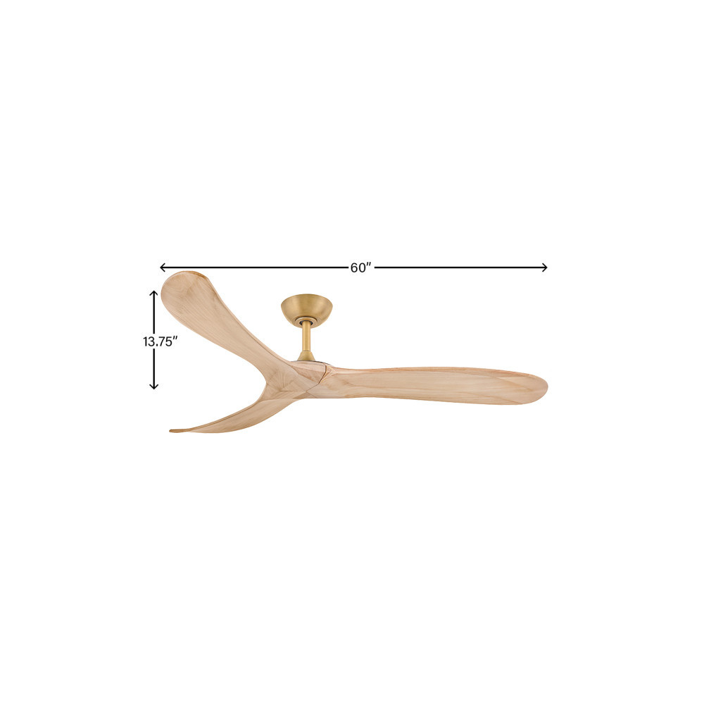 Hinkley Swell Ceiling Fan - Thumbnail 5